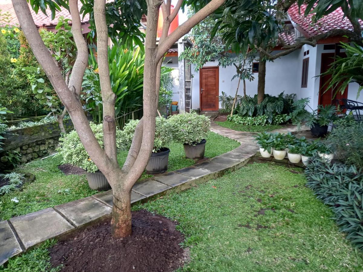 Juda Homestay Banyuwangi  Luaran gambar