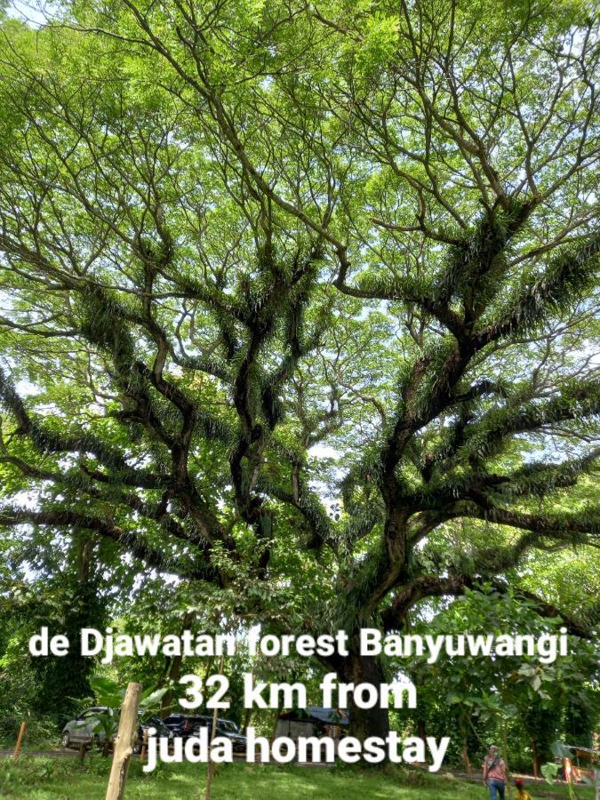 Juda Homestay Banyuwangi  Luaran gambar