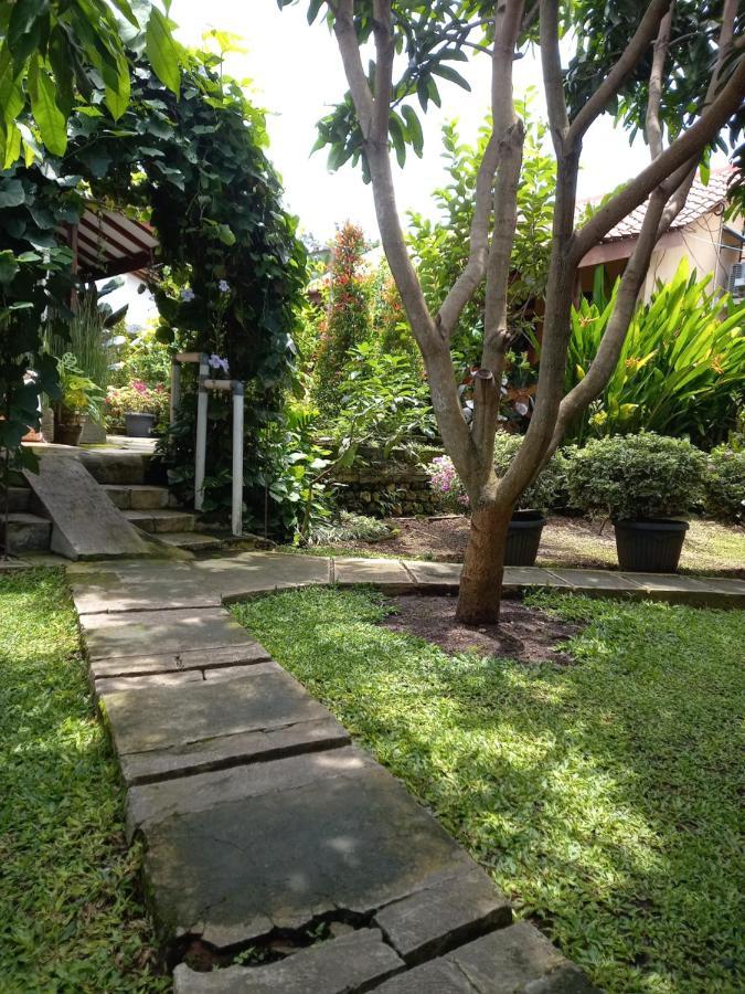 Juda Homestay Banyuwangi  Luaran gambar