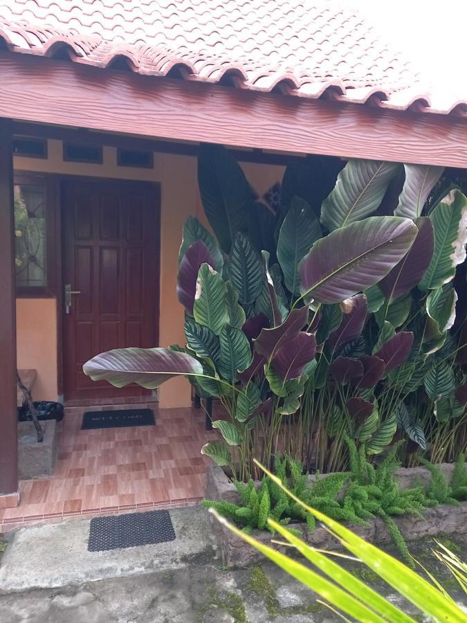 Juda Homestay Banyuwangi  Luaran gambar