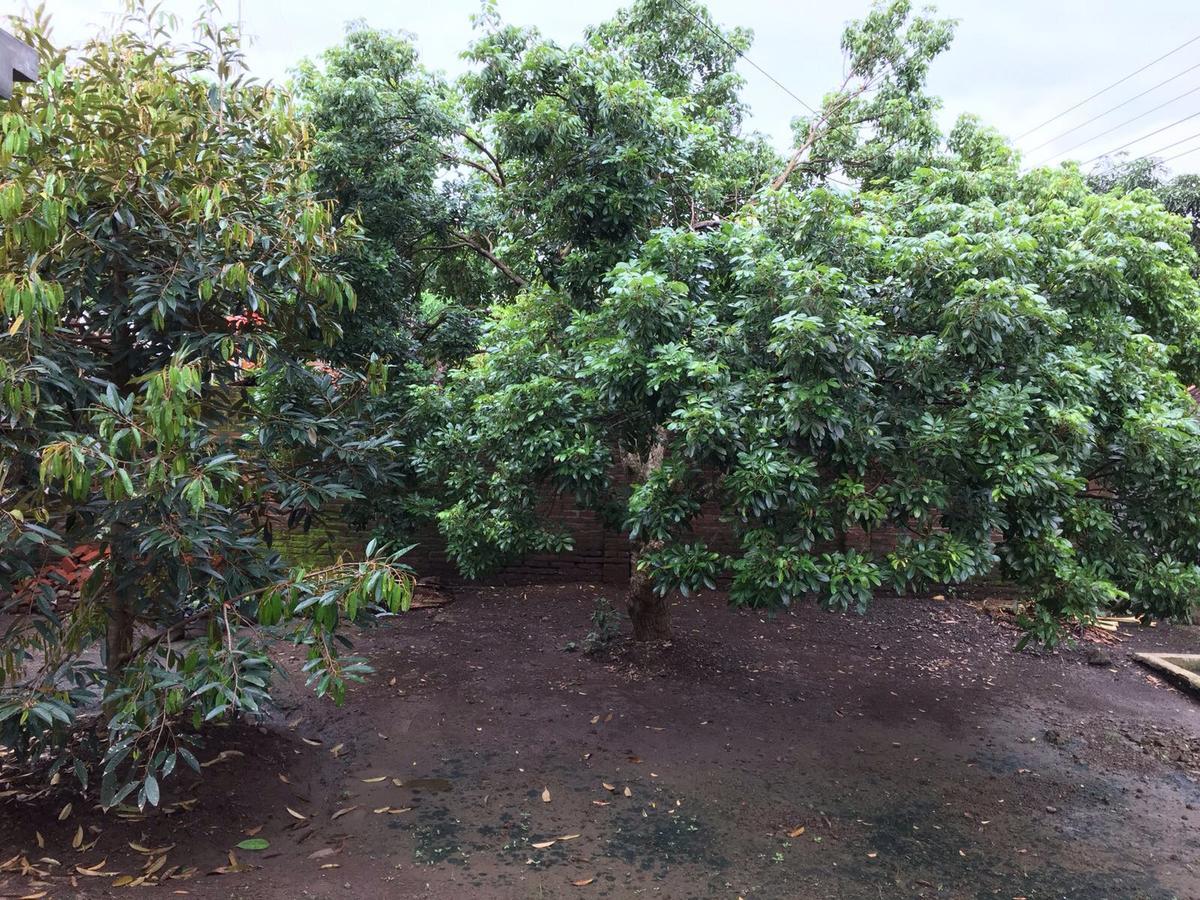 Juda Homestay Banyuwangi  Luaran gambar