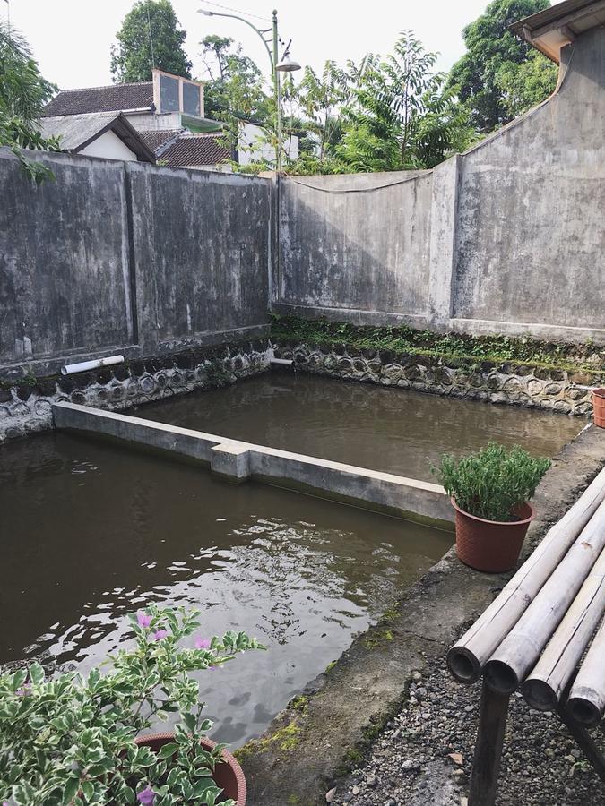 Juda Homestay Banyuwangi  Luaran gambar